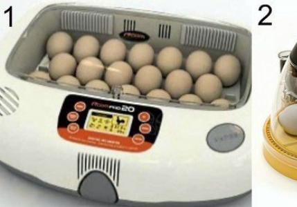 Автоматический инкубатор для яиц своими руками: схемы и чертежи, пошаговая видео-инструкция Чертеж механизма переворота яиц в инкубаторе